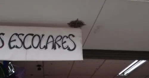 MIL EMPAQUES CALLE 11 MIL EMPAQUES CALLE 11